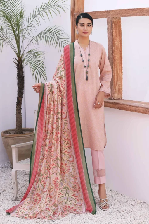 3 piece with Fancy Brochia Dupatta