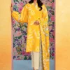 3 piece Printed Suit